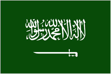 Pronostic Saudi Arabia